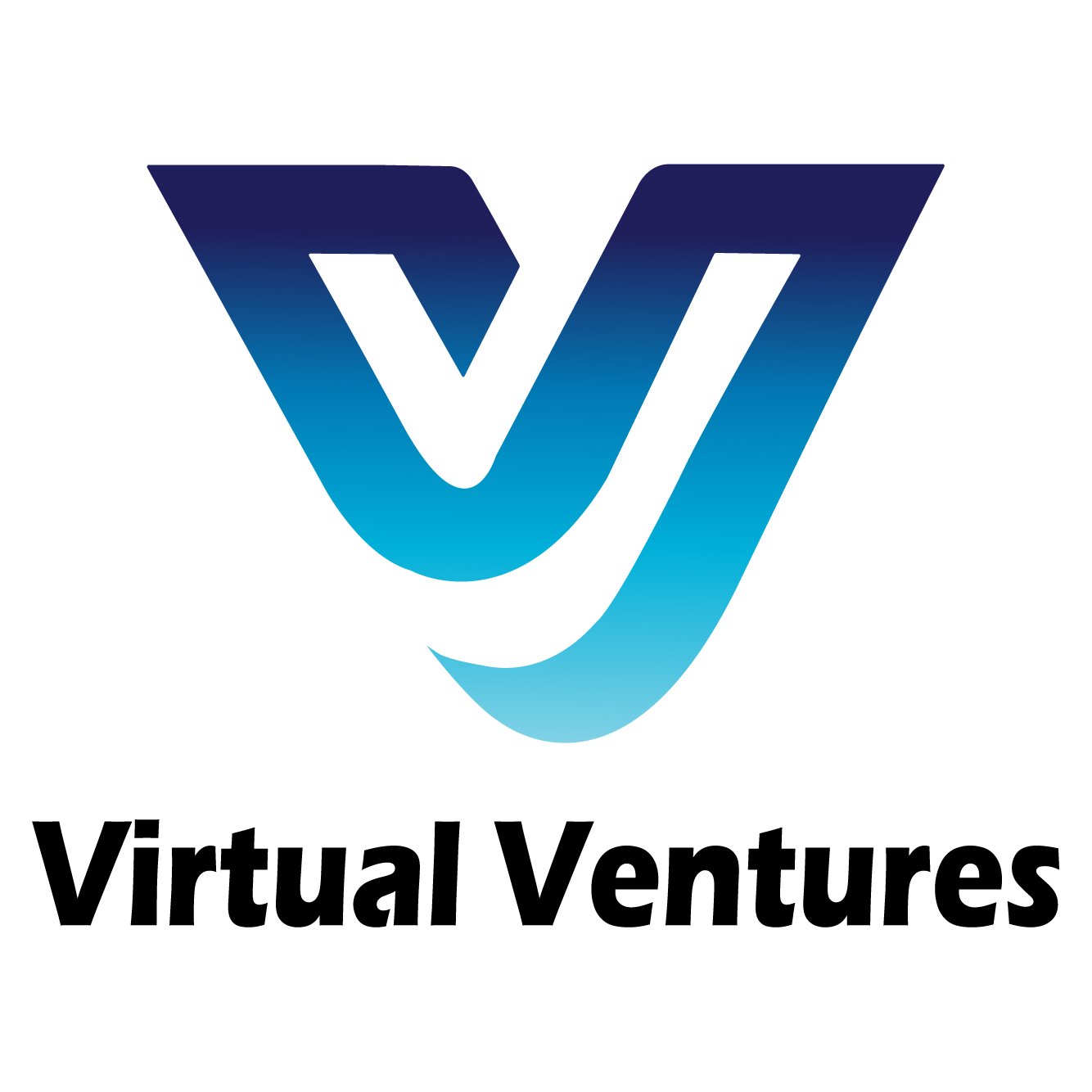 VirtualVenturess